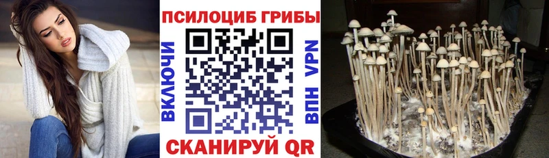 наркошоп  Нурлат  Галлюциногенные грибы Psilocybe 